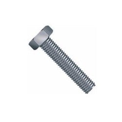 PARAFUSO SEXT 1020 10X100 MA RT ZCL
